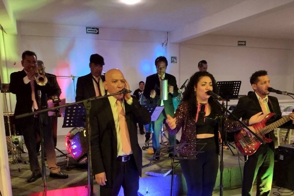 Boda chalco