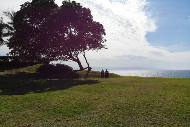 Vista del jardín central