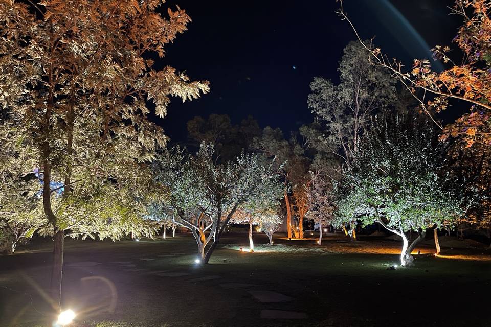Iluminación Arquitectónica