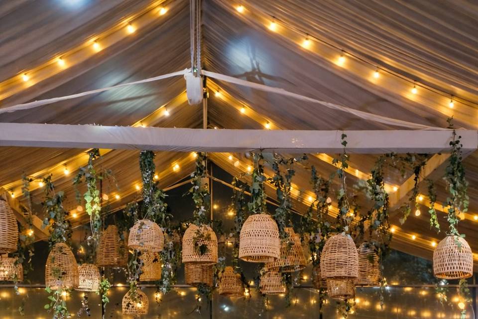 Bodas