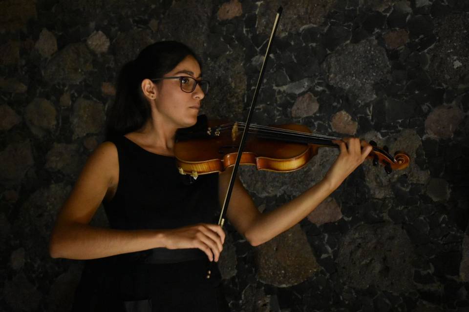 Integrantes de orquestas