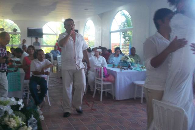 Organizando víbora de la mar