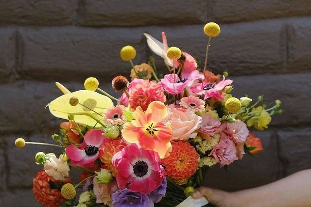 Explosión Floral