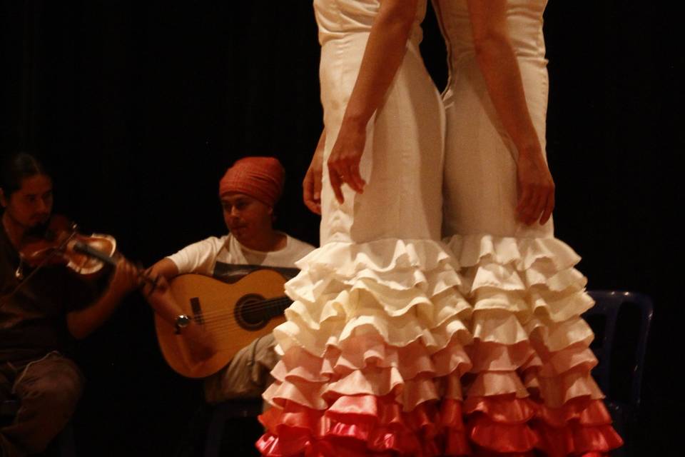 Flamenco Ole otra opción