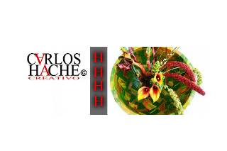 Carlos Hache Designer Logo