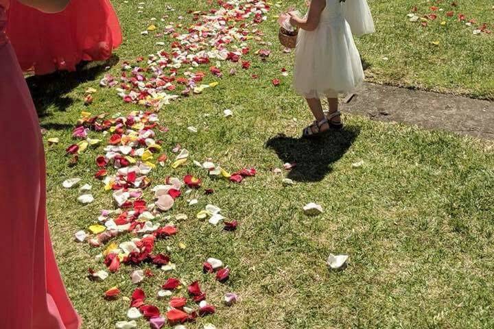 Camino hacia el altar