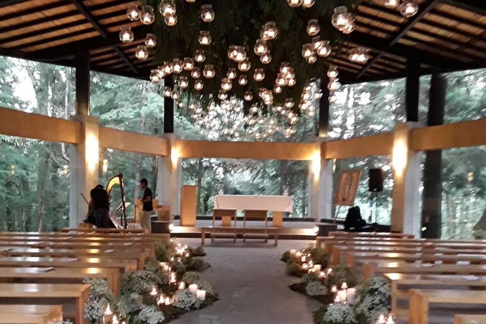 Camino al altar