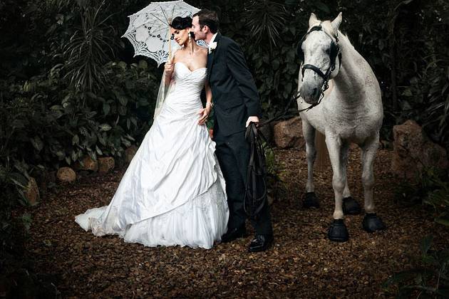 Ana y Guillermo