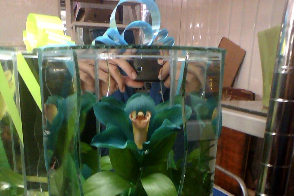 Arreglo con orquídeas azules