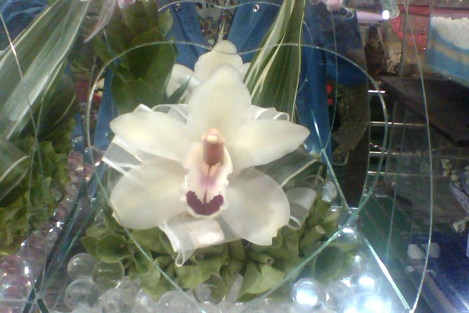 Arreglo con flor de orquídea