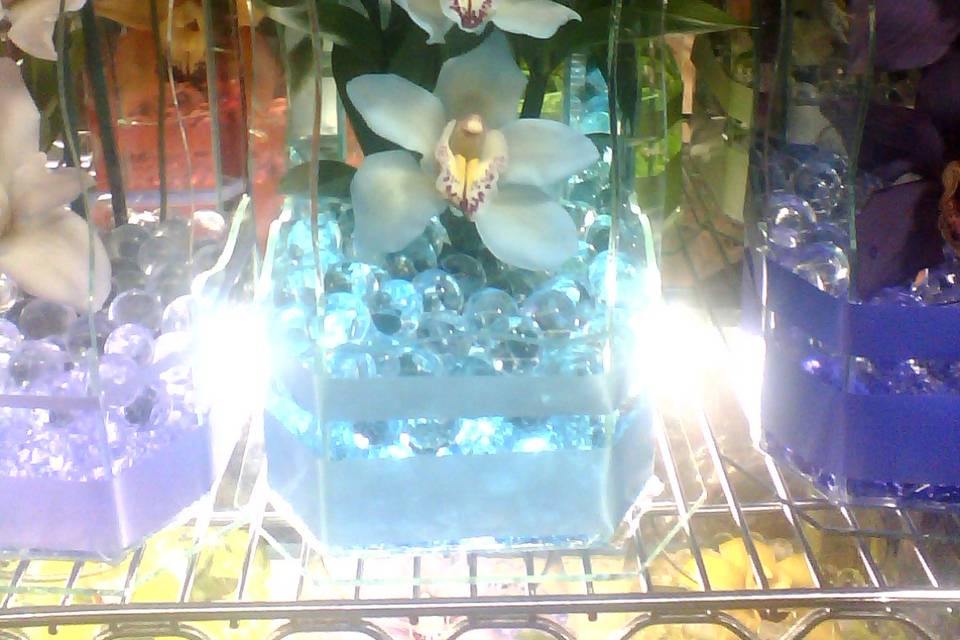 Arreglo con 3 orquídeas azules