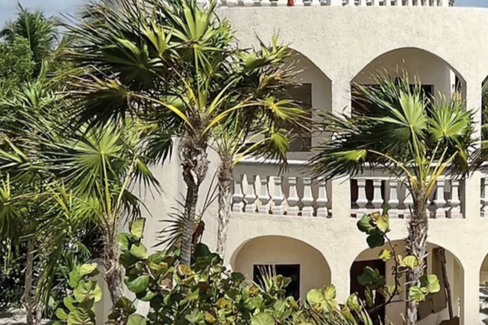 Vista a las habitaciones con palmeras