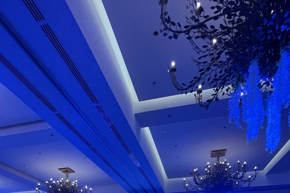 Bodas