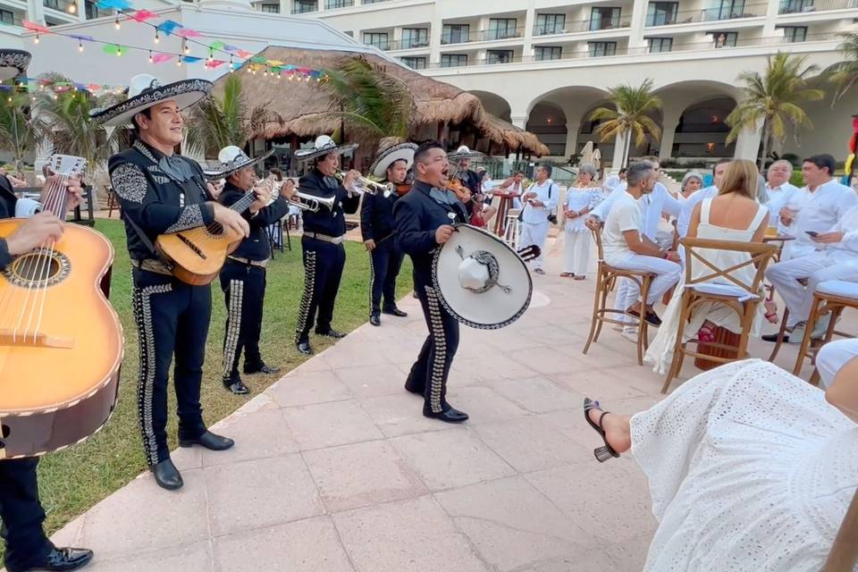 Mariachis