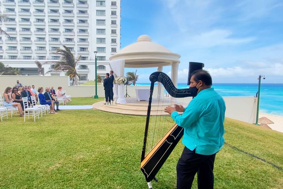 Arpa en boda de playa