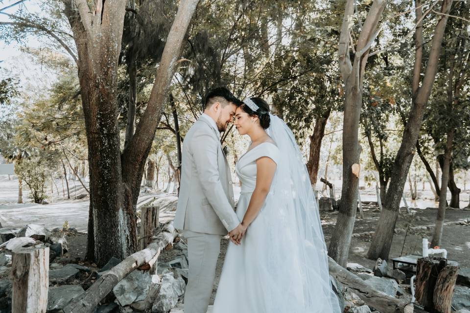 Novios agarrados de la mano en medio de un bosque