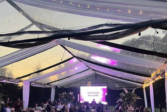 Boda en el bosque