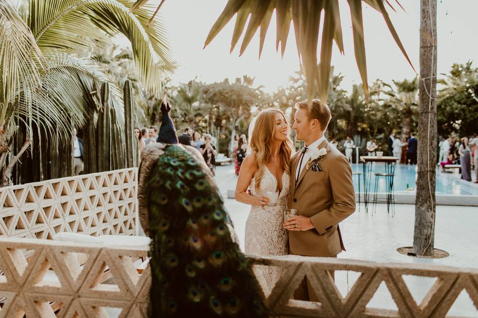 Acre Wedding