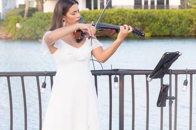 Violín