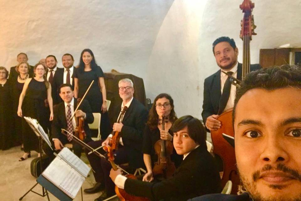 Orquesta amadeus