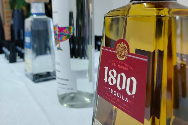 Expos y Degustaciones