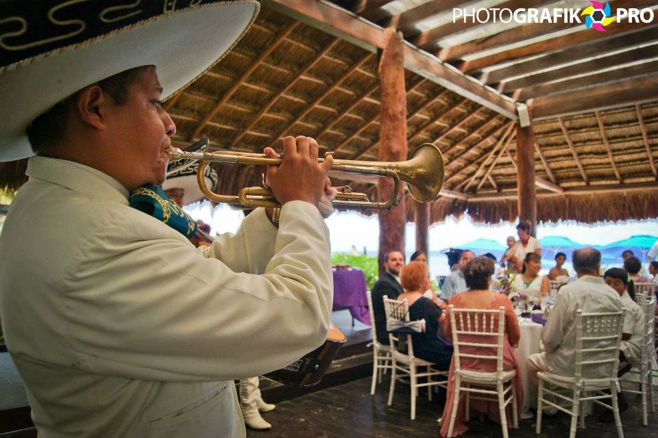 Fotos para bodas