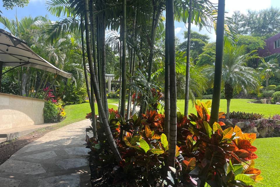 Jardin
