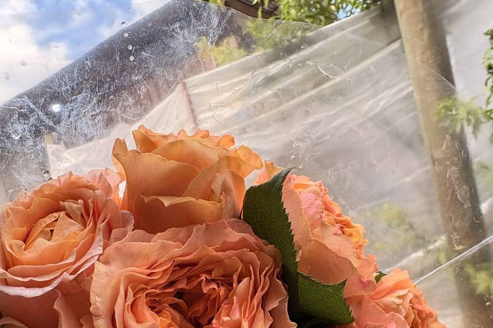 Ramo de rosas inglesas.
