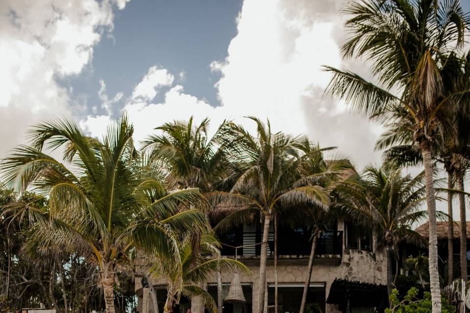 Nest Tulum