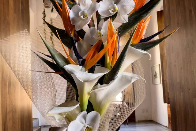 Experiencia floral