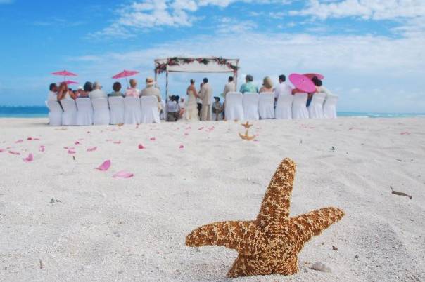 En la boda