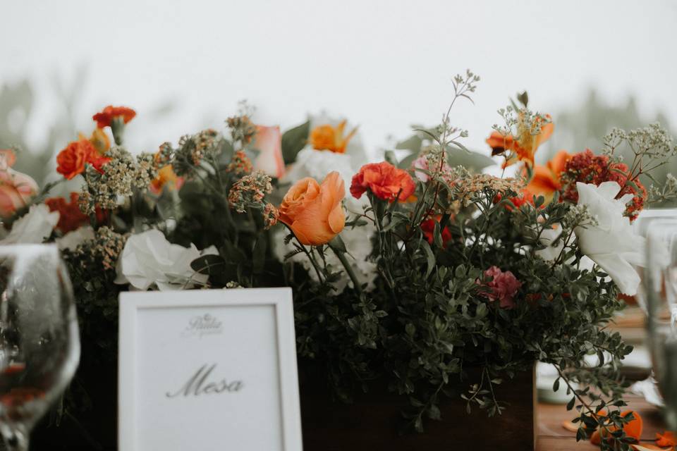 Flores