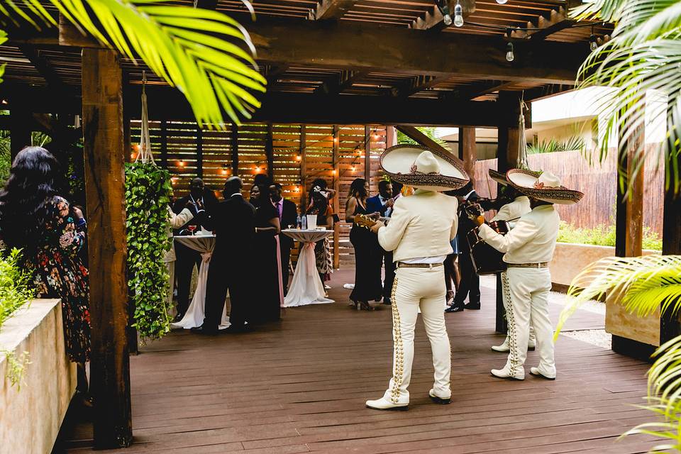 Chef's Garden