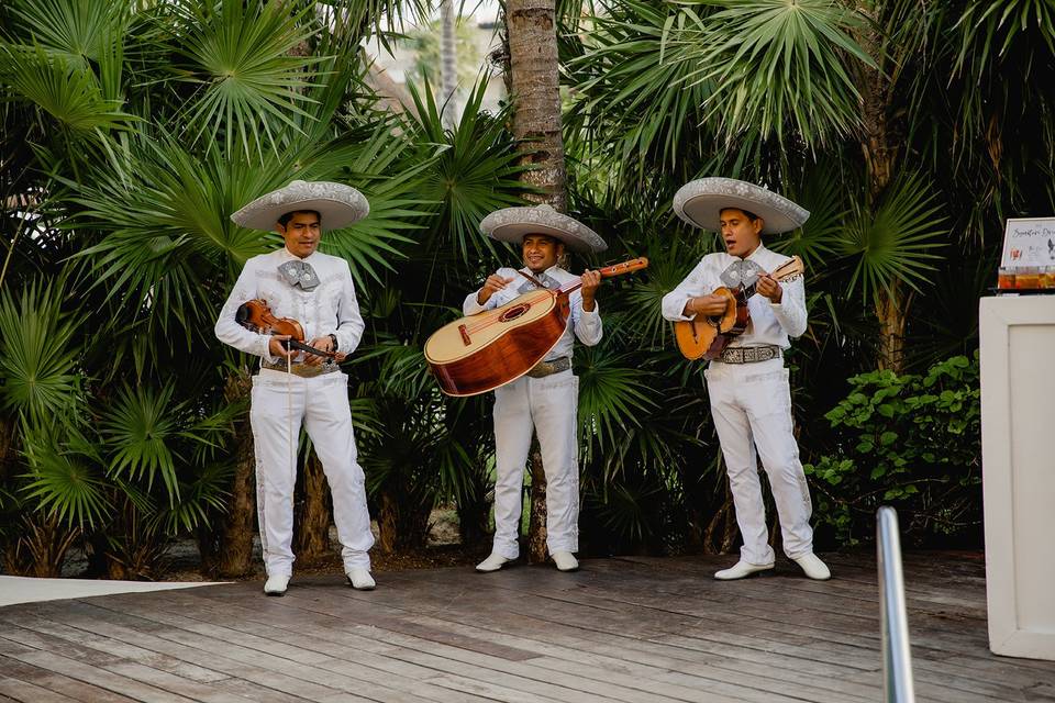 Trio