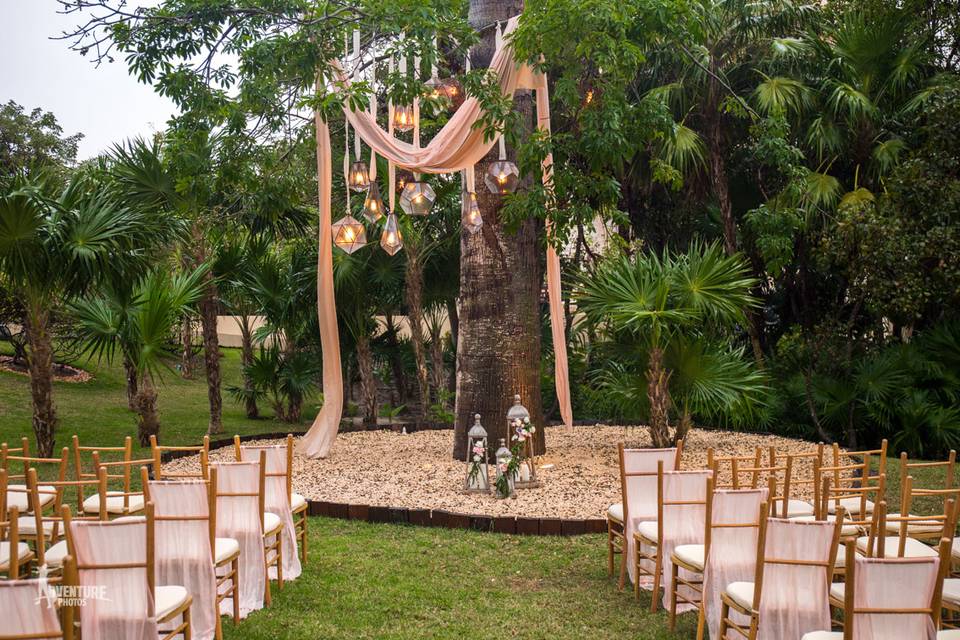 Ceiba