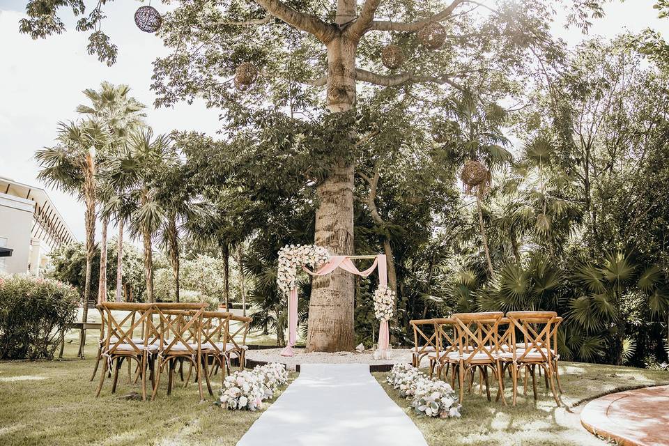 Ceiba