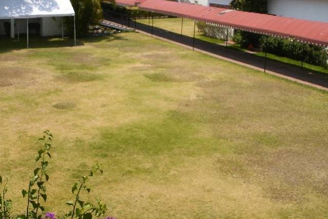 Cancha y jardín para eventos