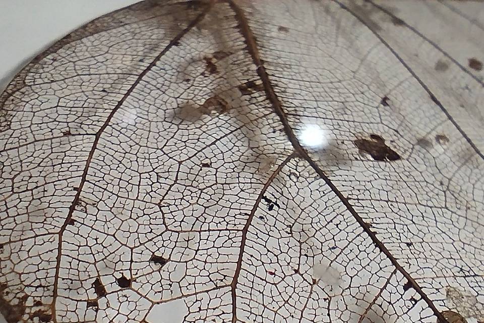 Detalle de encapsulado