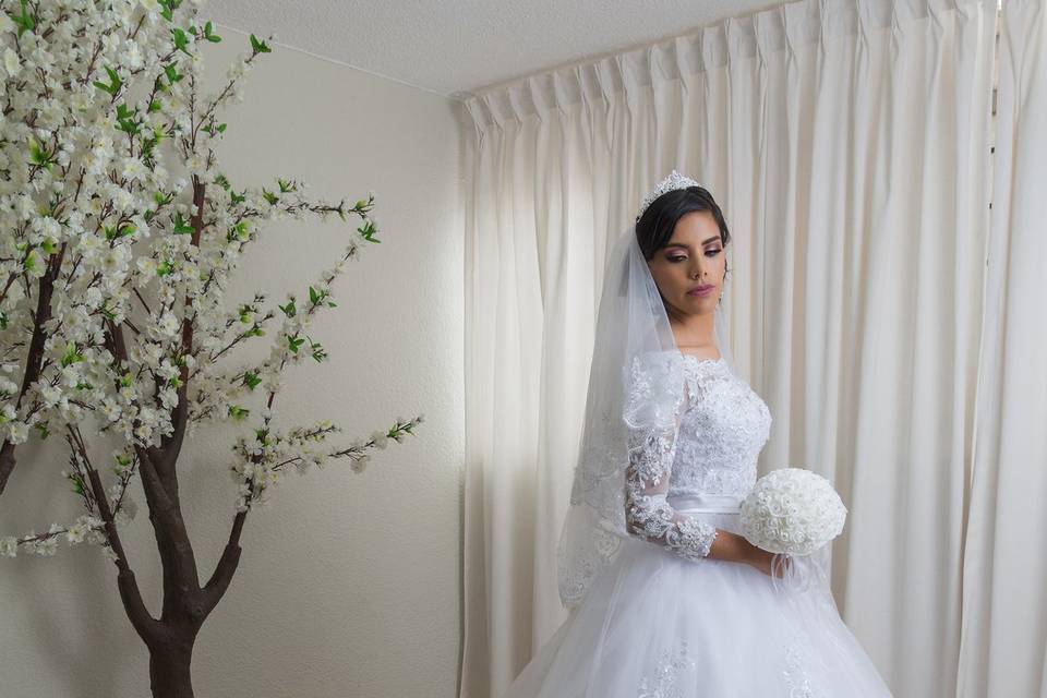 Vestido de Novia Princesa