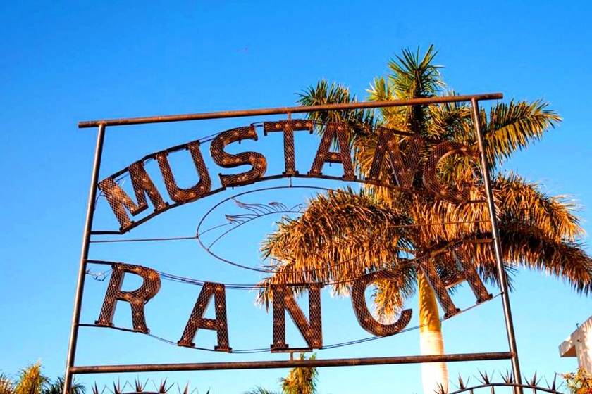 Mustang Ranch