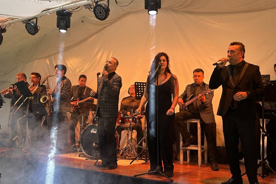 Momentos musical