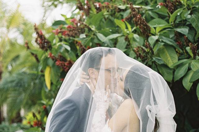 Novios besándose bajo el velo de novia