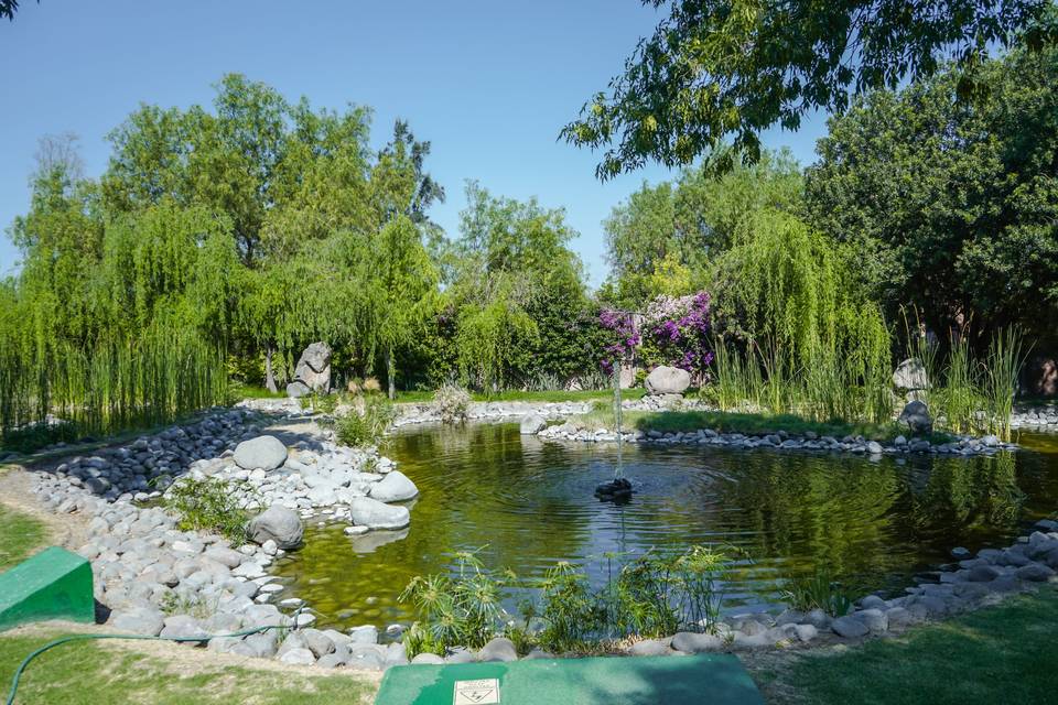 Jardín guadalupe victoria