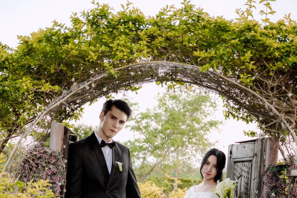 Lein weddings