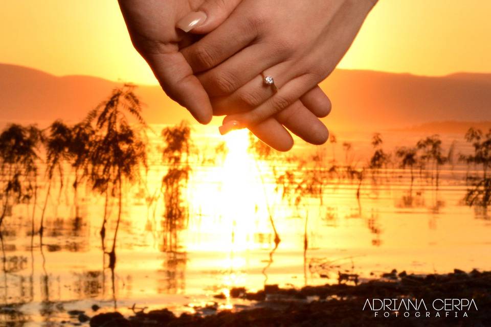 Fotógrafos de bodas