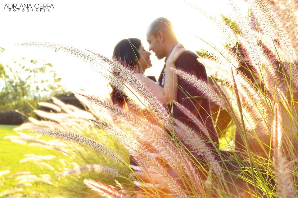 Fotógrafos de bodas