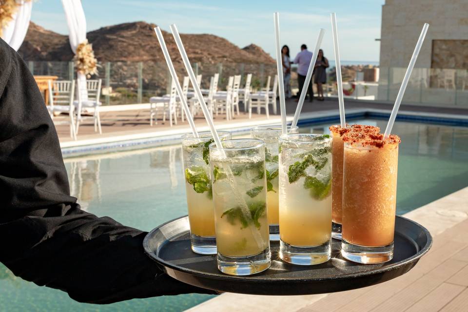 Cocteles