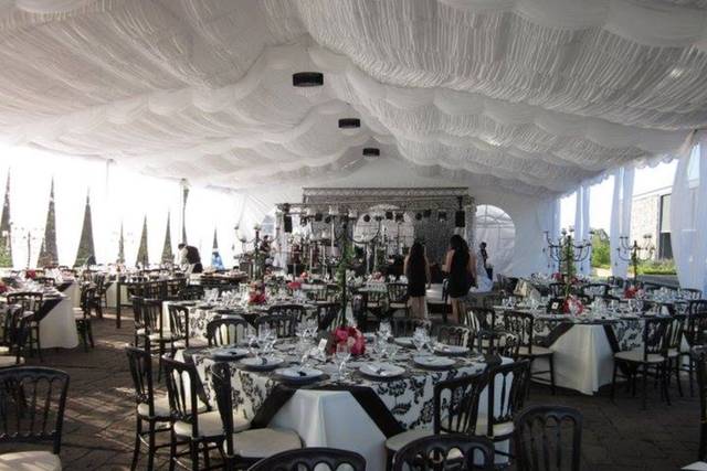 Carpa elegante