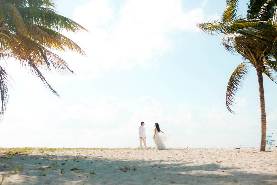 Trash the dress