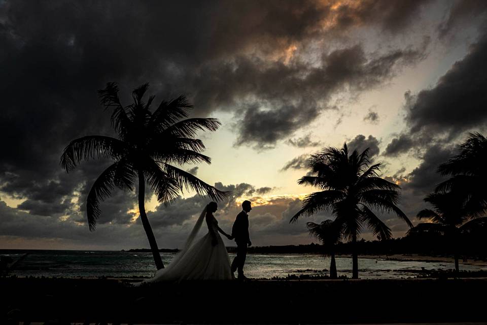 Beach  Wedding Back Light